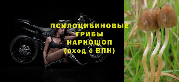 мяу мяу мука Алексеевка